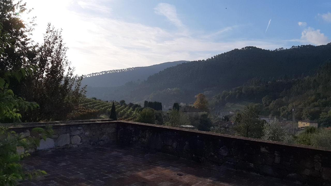 Agriturismo Alle Camelie Capannori Exterior photo