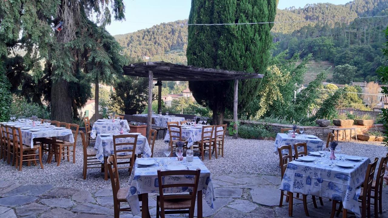 Agriturismo Alle Camelie Capannori Exterior photo