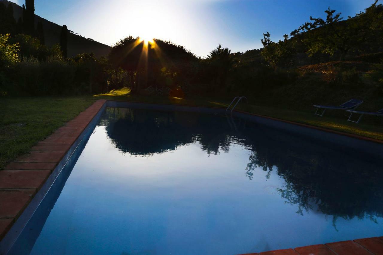 Agriturismo Alle Camelie Capannori Exterior photo