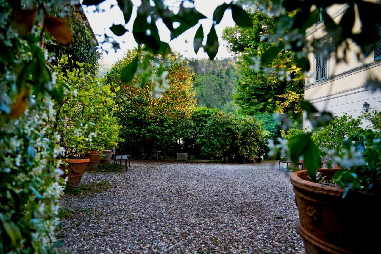 Agriturismo Alle Camelie Capannori Exterior photo